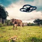 drone